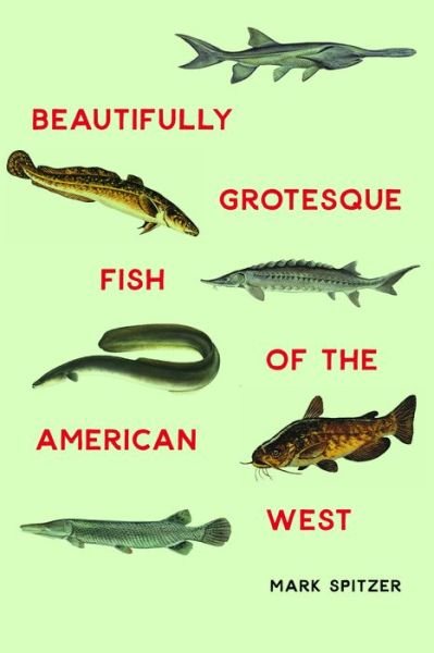 Cover for Mark Spitzer · Beautifully Grotesque Fish of the American West - Outdoor Lives (Hardcover Book) (2017)