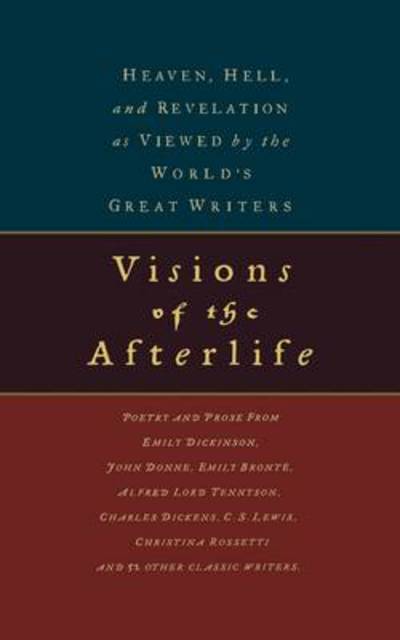 Cover for Daniel Pollock · Visions of the Afterlife (Paperback Book) (2004)