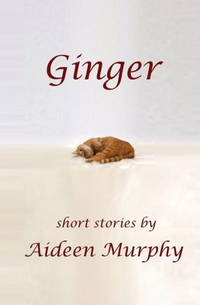 Cover for Aideen Patricia Murphy · Ginger: Short Stories (Paperback Book) (2014)