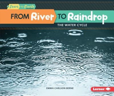 Cover for Emma Carlson Berne · From River to Raindrop (Paperback Book) (2017)