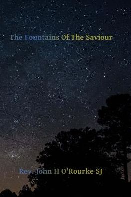 Cover for Rev John H O\'rourke Sj · The Fountains of the Saviour: Reflections for the Holy Hour (Paperback Book) (2015)