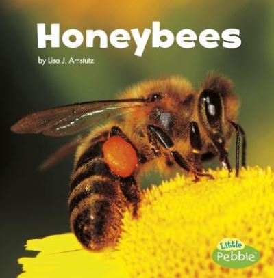 Cover for Lisa J. Amstutz · Honeybees (Book) (2017)