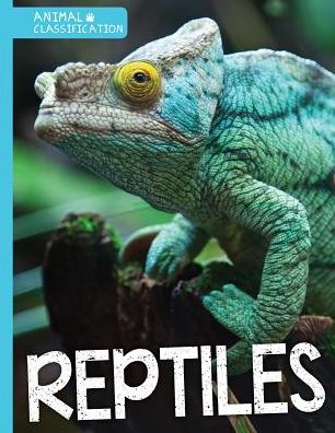 Cover for Steffi Cavell-Clarke · Reptiles (Hardcover Book) (2016)