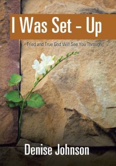 Cover for Denise Johnson · I Was Set - Up (Hardcover Book) (2017)