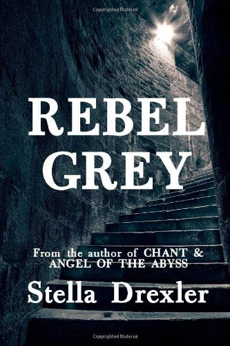 Rebel Grey: a Dystopian Teen Fantasy - Stella Drexler - Books - Diogenes Club Press - 9781622010233 - October 22, 2013