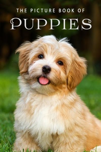 Cover for Sunny Street Books · The Picture Book of Puppies: A Gift Book for Alzheimer's Patients and Seniors with Dementia - Picture Books - Animals (Paperback Book) (2019)