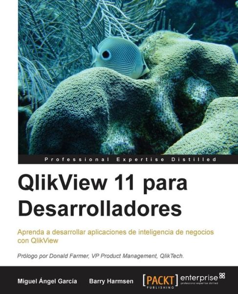 Cover for Miguel Angel Garcia · QlikView 11 para Desarrolladores (Paperback Book) (2013)