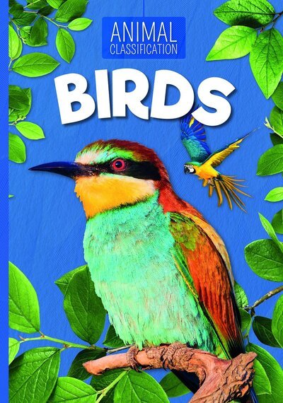 Cover for Charlie Ogden · Birds - Animal Classification (Taschenbuch) (2019)