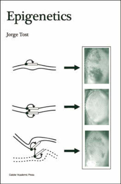 Cover for Epigenetics (Hardcover Book) (2008)