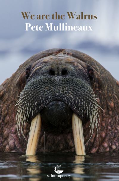 We Are the Walrus - Pete Mullineaux - Books - Salmon Poetry - 9781915022233 - November 1, 2022