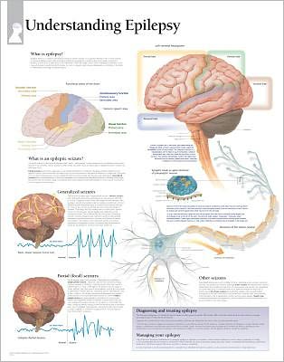 Understanding Epilepsy Paper Poster - Scientific Publishing - Gadżety - Scientific Publishing - 9781932922233 - 4 stycznia 2006