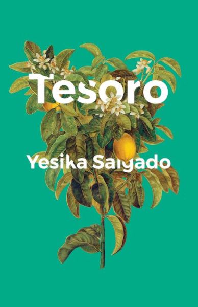 Cover for Yesika Salgado · Tesoro (Paperback Book) (2018)