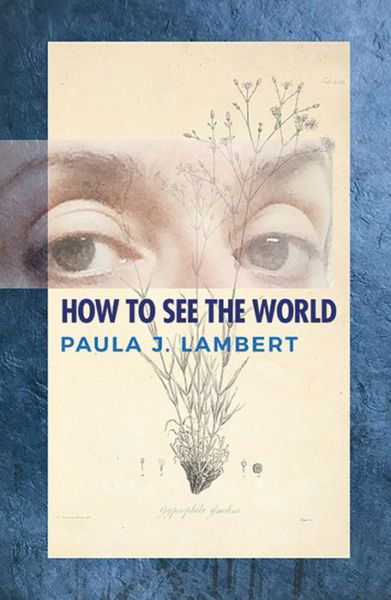 Cover for Paula J Lambert · How to See the World (Paperback Book) (2020)