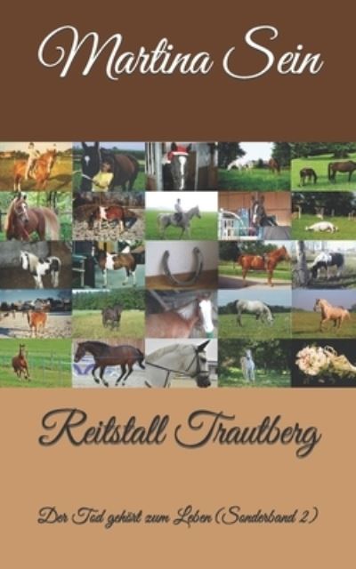 Cover for Martina Sein · Reitstall Trautberg (Taschenbuch) (2017)