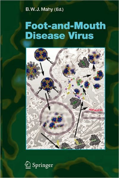 Cover for B W J Mahy · Foot-and-Mouth Disease Virus - Current Topics in Microbiology and Immunology (Taschenbuch) [Softcover reprint of hardcover 1st ed. 2005 edition] (2010)