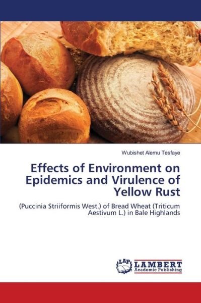 Cover for Tesfaye · Effects of Environment on Epide (Book) (2018)