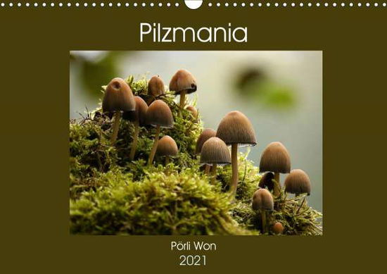 Cover for Won · Pilzmania (Wandkalender 2021 DIN A3 (Book)