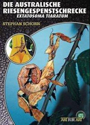 Die Australische Riesengespenstschrecke - Stephan Schorn - Books - NTV Natur und Tier-Verlag - 9783866591233 - August 12, 2009