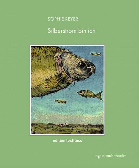 Cover for Reyer · Silberstrom bin ich (Book)