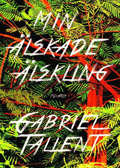 Cover for Gabriel Tallent · Min älskade älskling (Inbunden Bok) (2018)