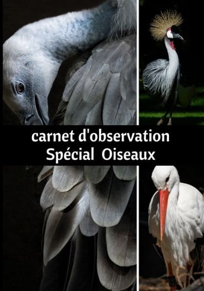 Cover for Oiseaux Enchantés Editions · Carnet d'observation Special Oiseaux (Pocketbok) (2020)