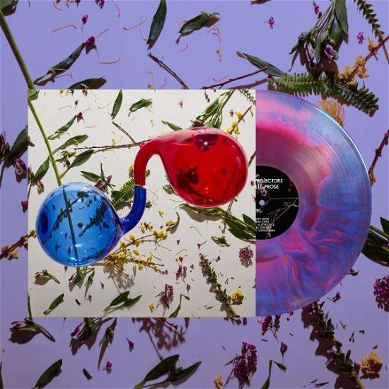 Cover for Dirty Projectors · Lamp Lit Prose (Limited Red or Blue Vinyl) (LP) [Limited edition] (2018)