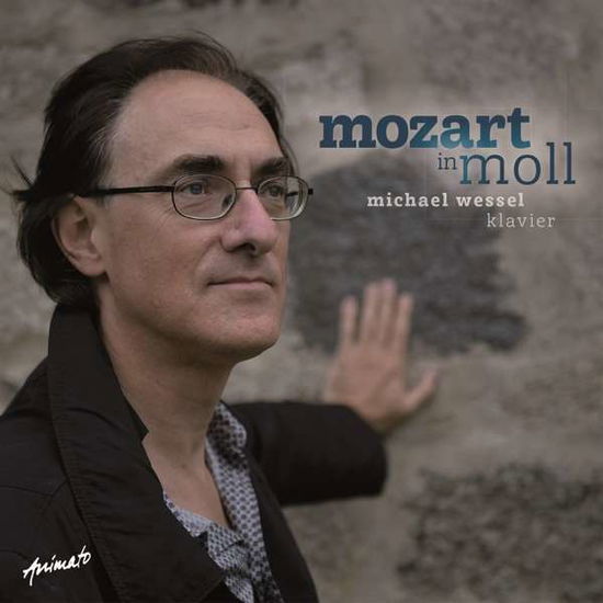 Cover for Michael Wessel · Mozart in Moll (CD) (2015)