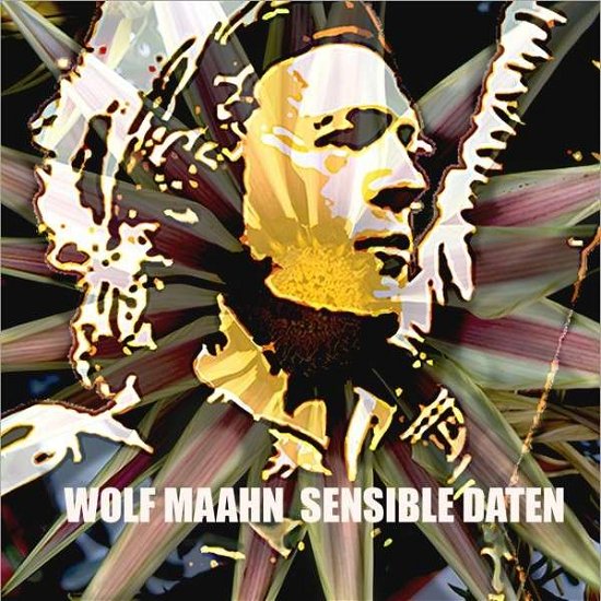 Sensible Daten - Wolf Maahn - Musik -  - 8869221247234 - 25 september 2015