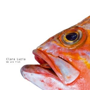 Cover for Clara Luzia · Clara Luzia - We Are Fish (CD) (2013)