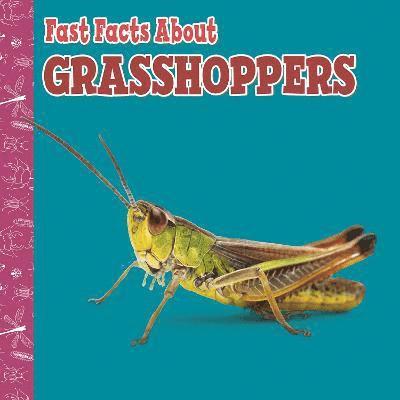 Cover for Julia Garstecki-Derkovitz · Fast Facts About Grasshoppers - Fast Facts About Insects and Spiders (Paperback Book) (2022)