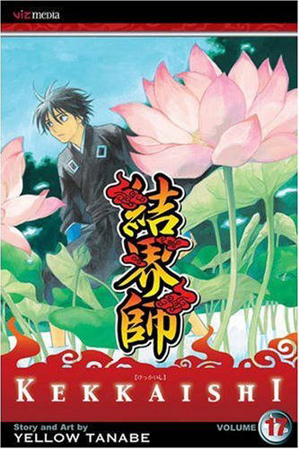 Cover for Yellow Tanabe · Kekkaishi, Vol. 17 - Kekkaishi (Taschenbuch) (2009)