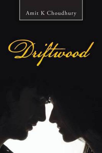 Cover for Amit K Choudhury · Driftwood (Pocketbok) (2013)
