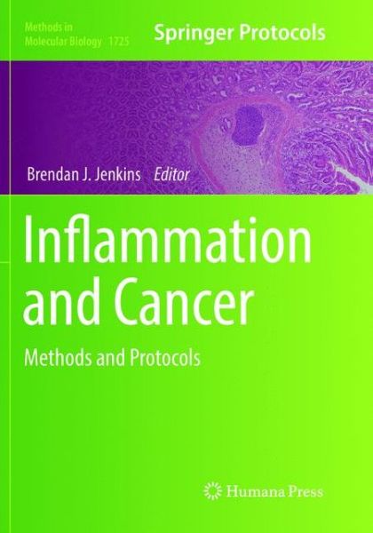 Cover for Inflammation and Cancer: Methods and Protocols - Methods in Molecular Biology (Paperback Book) [Softcover reprint of the original 1st ed. 2018 edition] (2019)