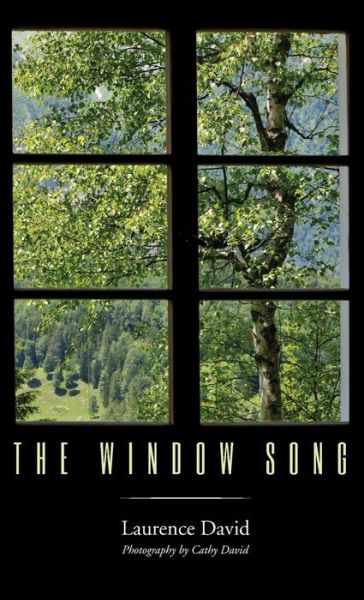 Cover for Laurence David · The Window Song (Hardcover Book) (2017)