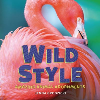 Cover for Jenna Grodzicki · Wild Style Amazing Animal Adornments (Book) (2020)