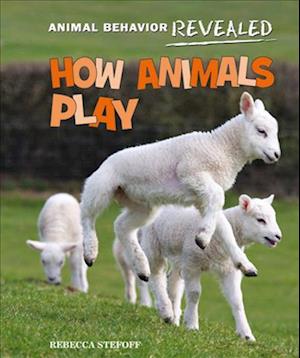 Cover for Rebecca Stefoff · How Animals Play (Book) (2013)