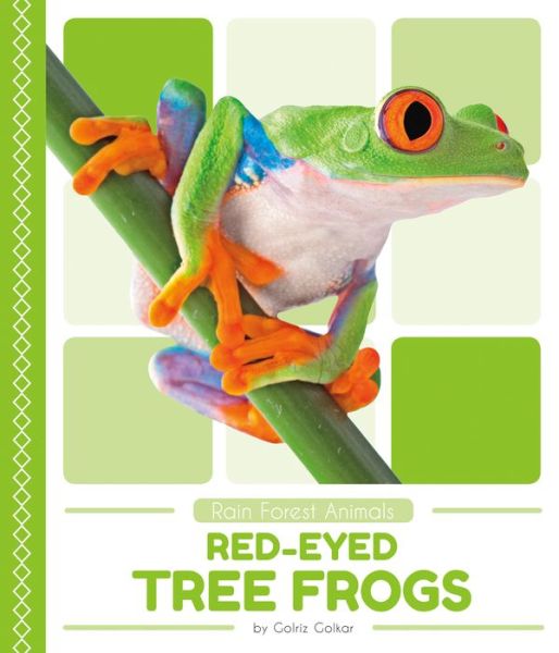 Cover for Golriz Golkar · Red-Eyed Tree Frogs - Rain Forest Animals (Paperback Book) (2018)