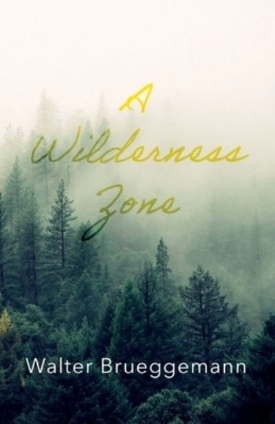 Cover for Walter Brueggemann · A Wilderness Zone (Pocketbok) (2021)