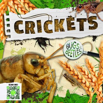 Cover for William Anthony · Crickets - Bugs and Beetles (Hardcover Book) (2019)