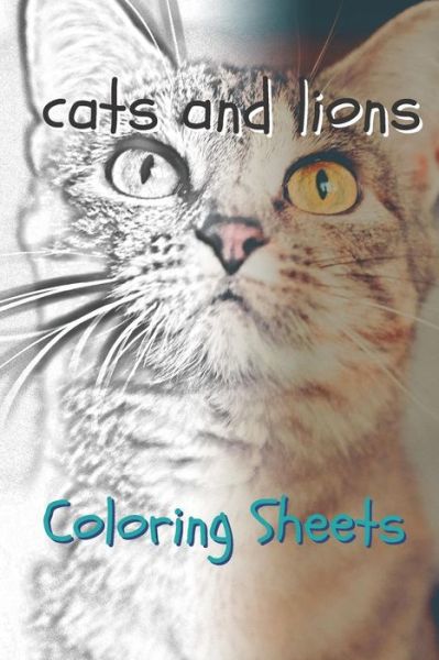 Cat and Lion Coloring Sheets - Julian Smith - Books - Amazon Digital Services LLC - Kdp Print  - 9781797717234 - February 21, 2019