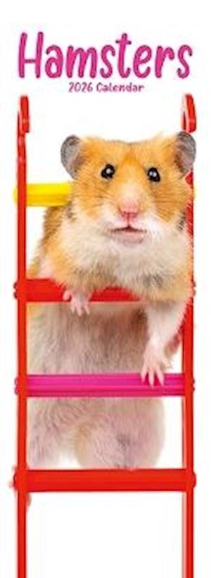 Cover for Hamsters Slim Calendar 2026  Cute Slimline Calendar - 12 Month (Calendar) (2025)