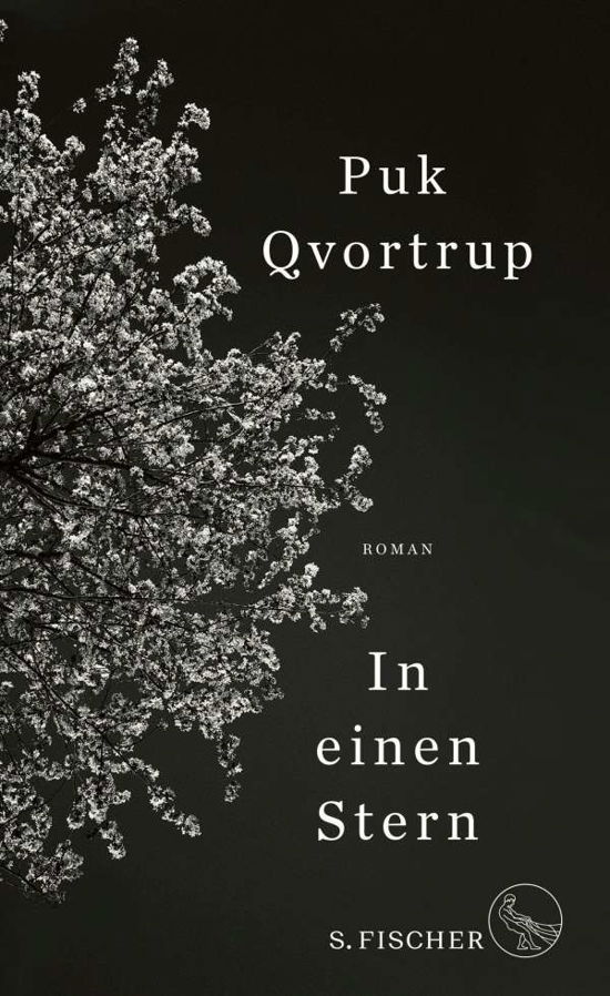 Cover for Puk Qvortrup · In einen Stern (Gebundenes Buch) (2021)