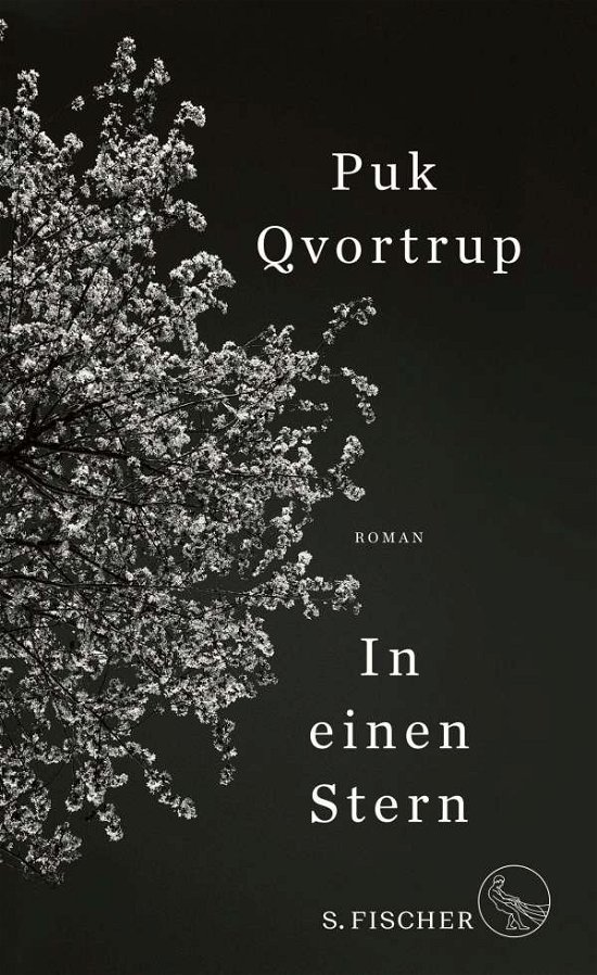 Cover for Puk Qvortrup · In einen Stern (Hardcover bog) (2021)