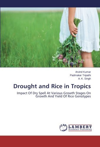 Cover for A. K. Singh · Drought and Rice in Tropics (Pocketbok) (2013)