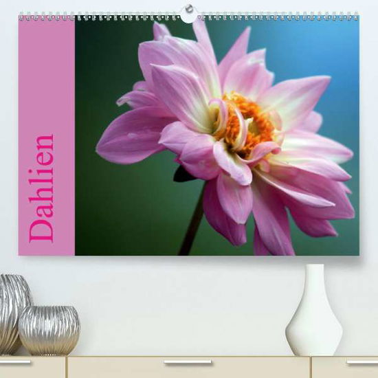 Cover for Menz · Dahlien (Premium-Kalender 2020 DIN (Book)