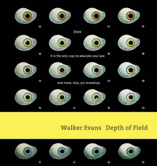 Cover for John Hill · Walker Evans: Depth of Field (Hardcover Book) (2015)