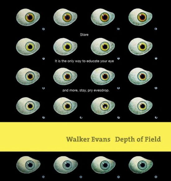 Walker Evans: Depth of Field - John Hill - Books - Prestel - 9783791382234 - November 25, 2015