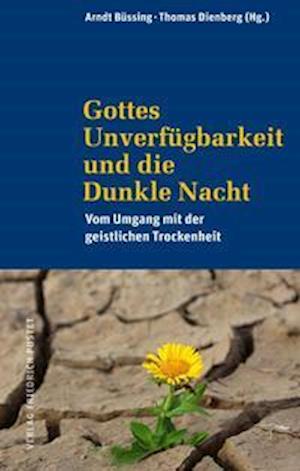 Gottes Unverfügbarkeit und die Dunkle Nacht - Arndt Bussing - Books - Pustet, Friedrich GmbH - 9783791733234 - October 19, 2021