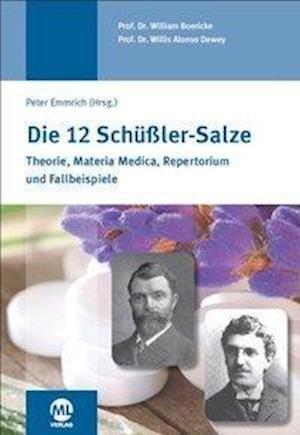 Cover for William Boericke · Die 12 Schüssler-Salze (Hardcover Book) (2015)