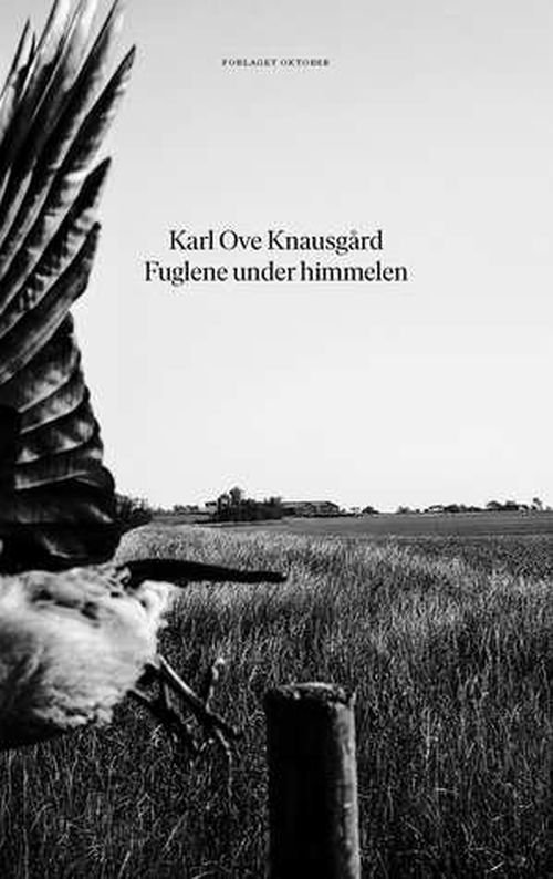 Cover for Karl Ove Knausgård · Fuglene under himmelen (Innbunden bok) (2019)